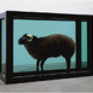 TheBlackSheep
