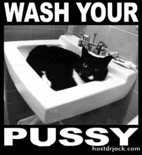 Pussy.gif