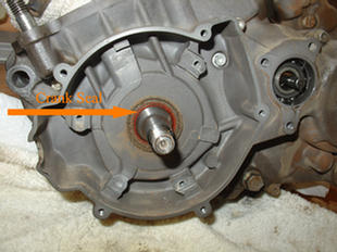 16_Ig_Side_Crank_Seal.jpg