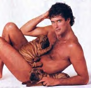 hasslehoff.jpg