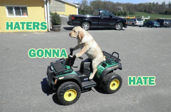 haters-gonna-hate-dog.jpg