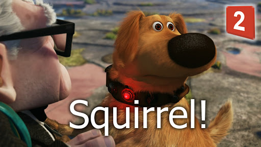 squirrel.jpg