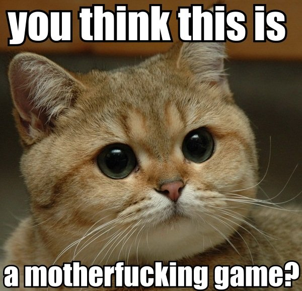 You-Think-This-Is-A-Game-Cat-Meme.png