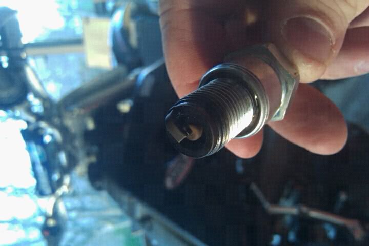 Sparkplug.jpg