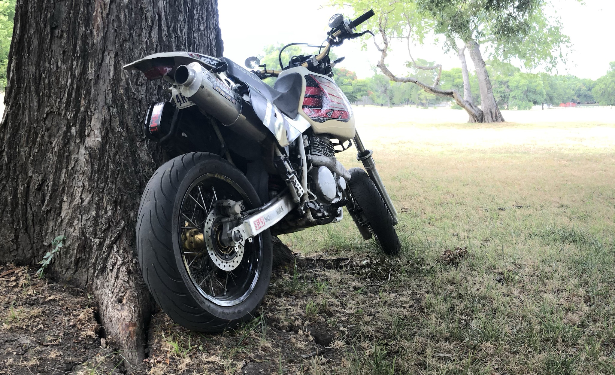 ZLc5b4i.jpg