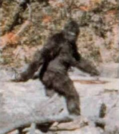 PG-bigfoot.jpg