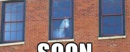soon-horse-meme-500x200.jpg