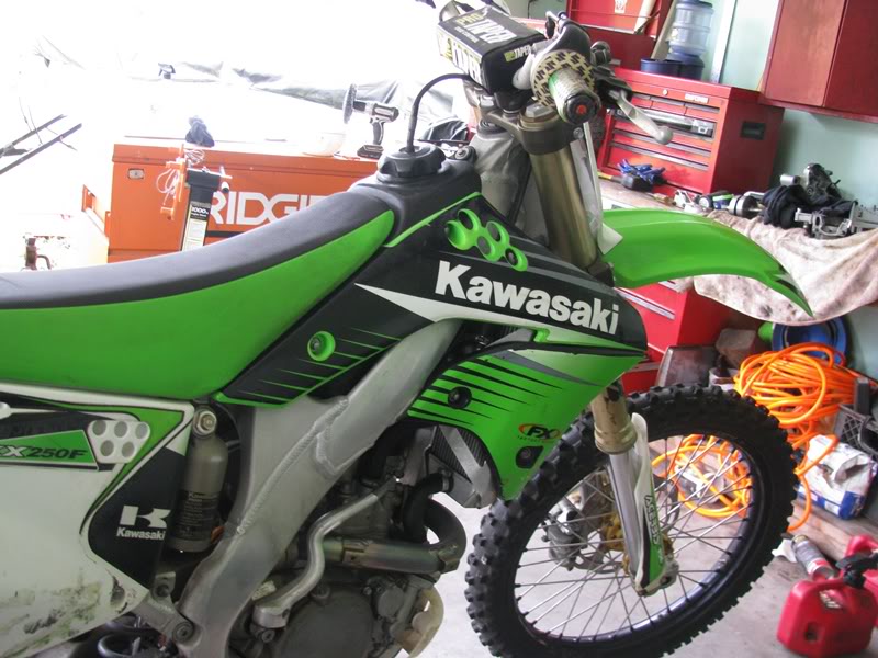kawi2.jpg
