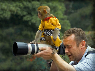 Funny+Awesome+monkeys_3.jpg
