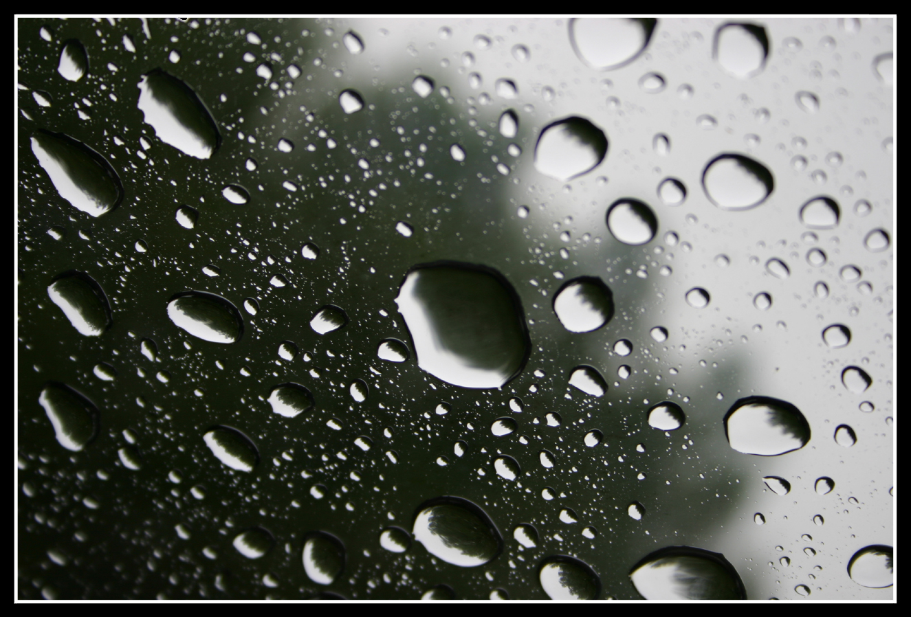 Rain_Drops__by_travace.jpg