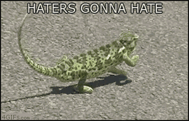 gifko_08_Haters_Gonna_Hate-s371x237-99920-580.gif