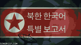 northkoreanmisslefootage.gif