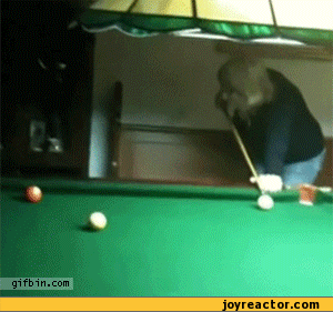 billiards-gif-dog-jump-556174.gif