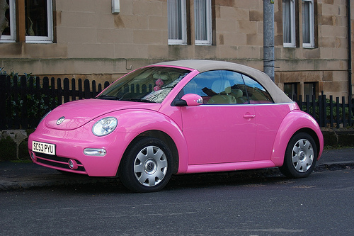 36020d1185466957-official-pink-beetle-thread-402179104_5a48d217af.jpg