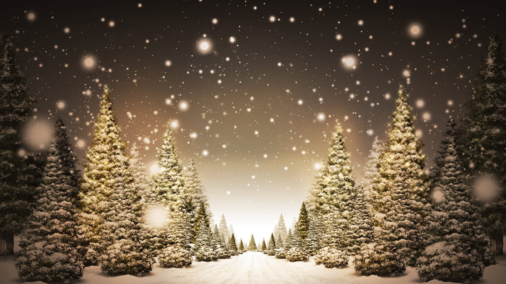 Christmas-Trees-in-Snow_FullHDWpp.com_.jpg